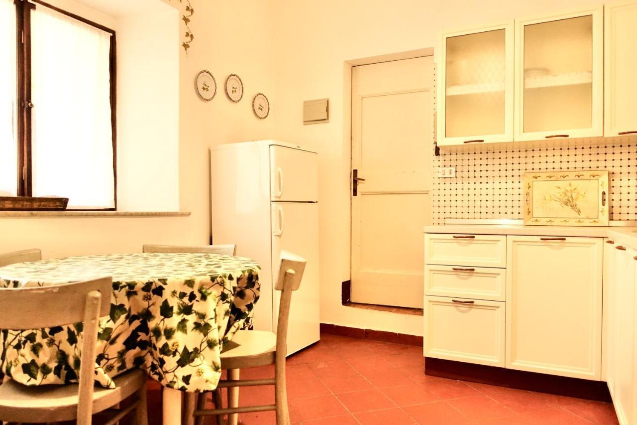Villa Buonsignori - Wine & Olive Oil Farm Corsano  エクステリア 写真